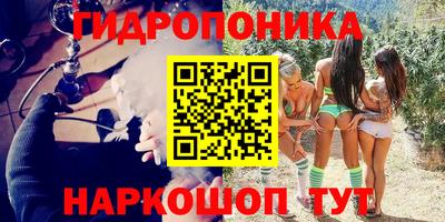 прущие грибы Гагарин