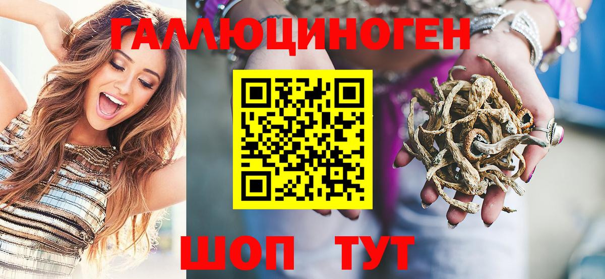 Галлюциногенные грибы Psilocybe Карасук