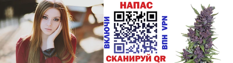 МАРИХУАНА конопля Карасук